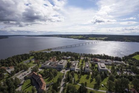 90d17e523c36650b_800x800ar