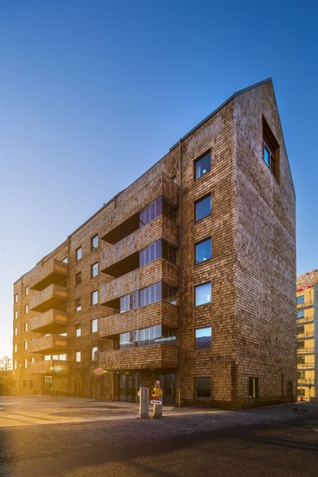 9831a91e0aa8d760_800x800ar