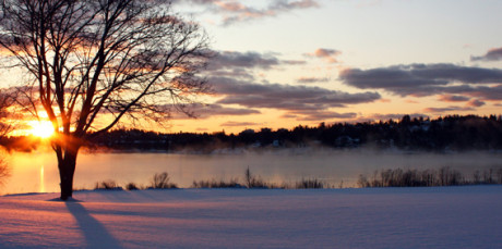 Drevik i vinter Lisa Bood_låg