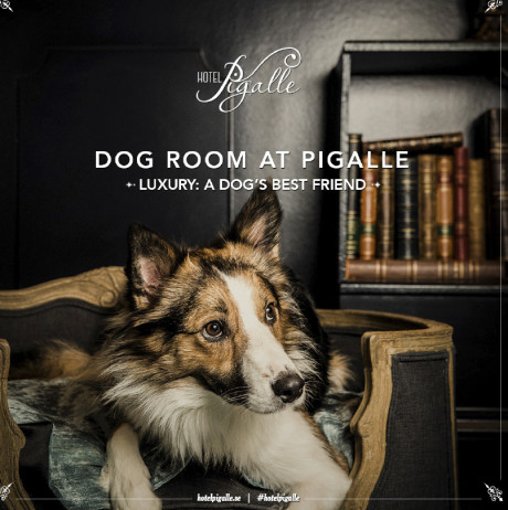 Från slott till hundkoja