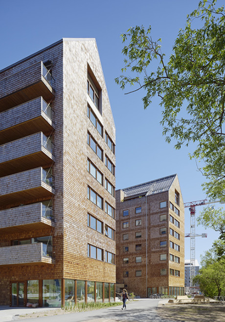 Strandparken, Wingårdhs