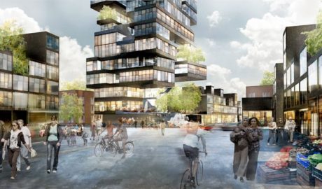 a2caa807080b1695_800x800ar