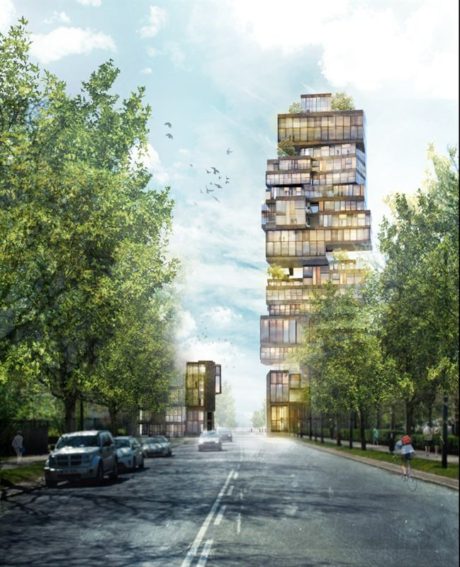 a55b5658639d40c7_800x800ar