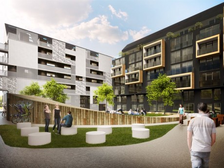 aa1f281cb55318e8_800x800ar