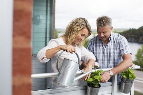 bbba885f4fe18564_800x800ar