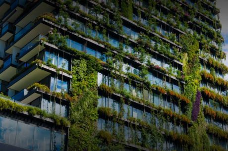 Green skyscraper building with plants growing on the facade. Ecology and green living in city urban environment concept. Park in the sky One central park building Sydney Australia