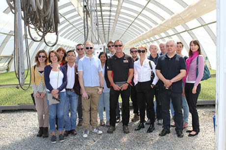 engelska-studenter-grupp-org