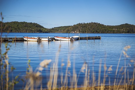 serneke_ingared-9938