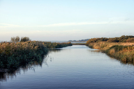 xkdk95g4ioq6cqhnrdme